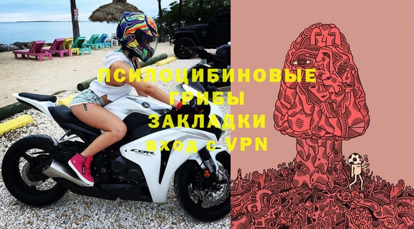 прущие крисы Алексеевка